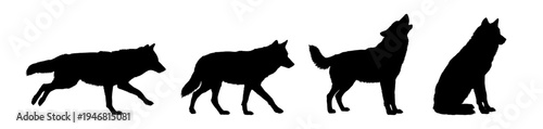 Set of wolf silhouettes. Wolf silhouette isolated.	
