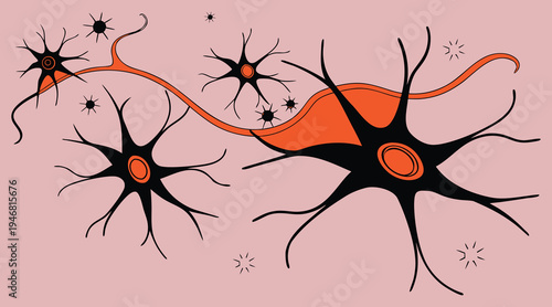 Neurons and their connections on pink background