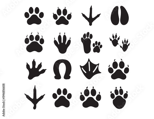 A variety of animal paw prints and a bird footprint on a white background Vector