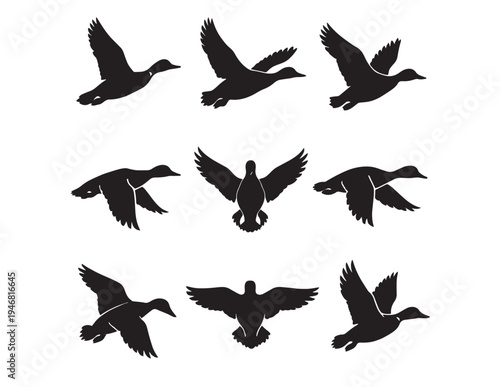 Pixelated birds in flight: a study in digital abstraction and nature's grace Vector