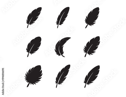 A collection of various feathers displayed against a white background Vector