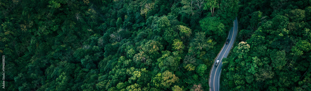 Naklejka premium Aerial view of a winding road cutting through dense tropical forest representing sustainable transport, green economy and ESG investment concept. Perfect for environment, mobility, finance or business