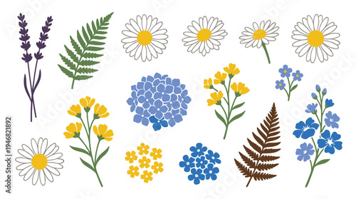 A set of stylized vector illustrations featuring wildflowers like daisy, lavender, and fern. Perfect for creating invitations, patterns, and elegant botanical designs.