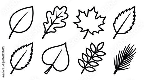 Set of hand-drawn outline leaf icons featuring diverse tree species. Simple, versatile vector design for nature, autumn, and environmental projects. Black and white, clean style.