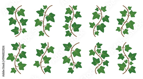A versatile set of green ivy leaves and branches, perfect for nature-themed designs, borders, or decorative elements. Clean vector graphics for invitations, web, and print.