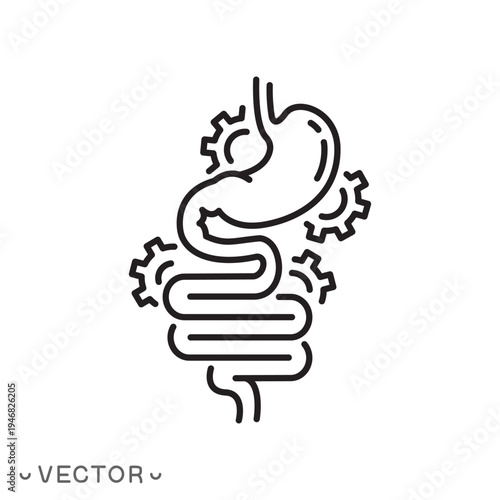 human digestive system icon, stomach and intestines, metabolic process and digestion, intestinal protection, thin line symbol isolated on white background, editable stroke eps 10 vector illustration