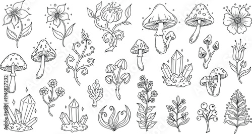 Collection of various mushroom illustrations