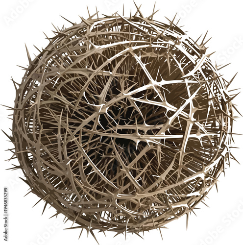 Detailed representation of a tightly woven sphere constructed entirely from sharp, dried brown thorny branches creating a menacing texture object isolated on white.