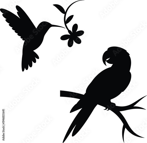 Silhouette of Hummingbird and Perched Bird with Flower on Branch d