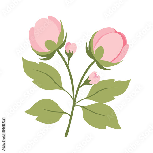 Cute Peony Flower Illustration with Leaves – Romantic Botanical Hero Element for Wedding Branding, Packaging and Stationery