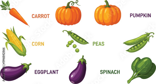 Assorted vegetables and fruits including carrot corn pumpkin peas eggplant and spinach in various colors