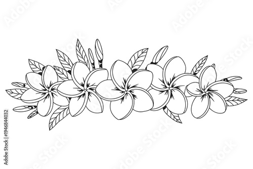 Plumeria Flower Border Line Art Vector IllustrationTropical Blooms and Leaves