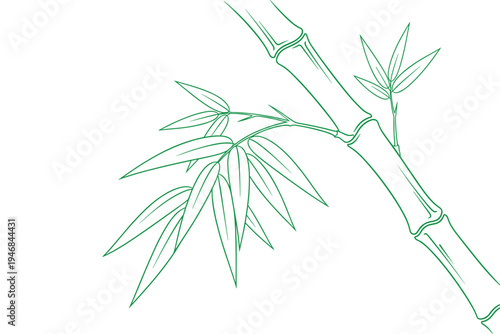 Green bamboo branch vector illustration with leaves on transparent background x
