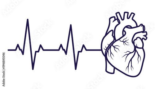 Human heart with electrocardiogram heartbeat line, vector medical illustration