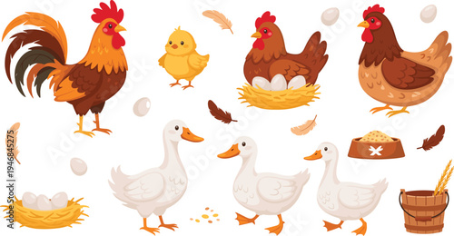 Farm Poultry Animals Collection Featuring Rooster, Hen, Chick, Ducks, Eggs, Nest, Feathers, and Feeding Bowl Cute Cartoon Farm Bird Vector Illustration Set