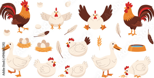 Cute Farm Poultry Animals Collection Featuring Roosters, Chickens, Ducks, Nests, Eggs, Feathers, and Feeding Bowl Cartoon Barnyard Bird Vector Illustration Set
