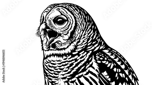 Detailed Black and White Illustration of a Barred Owl's Head and Shoulders