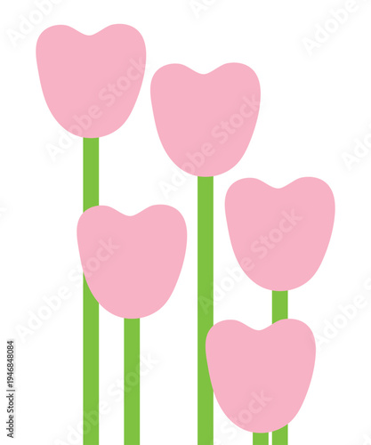 Cute simple pink tulips cartoon on white background