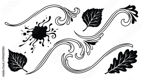 Collection of elegant vector design elements: graceful flourishes, stylized leaves (birch, oak), and an abstract ink splash. Ideal for invitations, logos, and decorative projects.