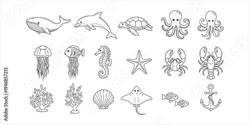 Underwater marine life illustrations