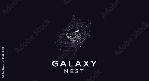 Galaxy Nest Logo Design Concept 1.