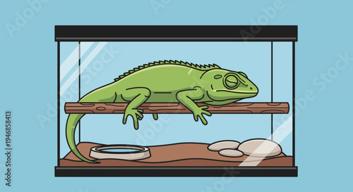 Green chameleon in a terrarium cage.