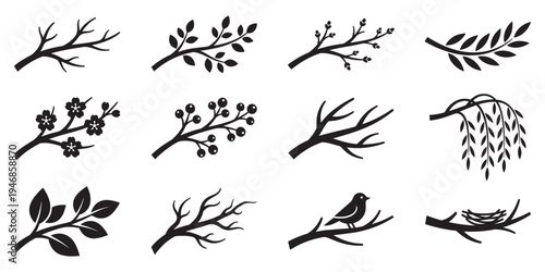 Set of organic minimalist silhouette summer and spring branches with leaves. Simple flower logo design element. Elegant floral twig decoration. Botanical simple. Plant icon set. Vector Graphic. EPS 10