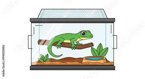 Green lizard in a glass terrarium.