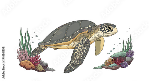 Sea turtle swimming in ocean water.