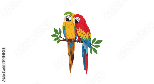 Two colorful parrots on branch together.