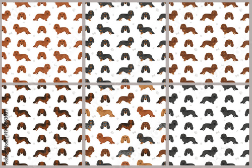 Dachshund long haired dog seamless pattern. Different coat colors set.  Vector illustration