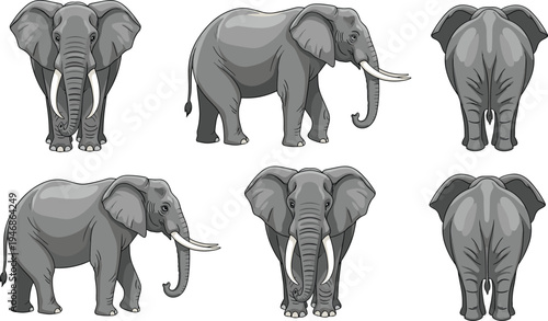 Cartoon vector illustration of elephants in multiple angles including front, side, and rear views for animal design, education, and animation projects