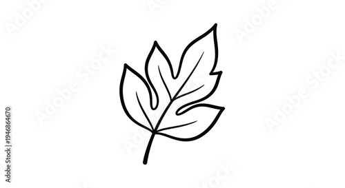 Simple black outline of a leaf with central vein silhouette