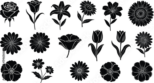 Black and white floral silhouettes on white background flowers 2