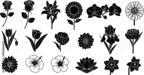 Black and white floral silhouettes on white background flowers 1