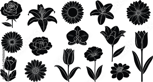 Black and white floral silhouettes on white background flowers