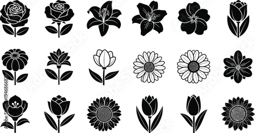 Black and white flower flowers silhouettes floral
