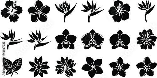 Black and white tropical flower silhouettes flowers