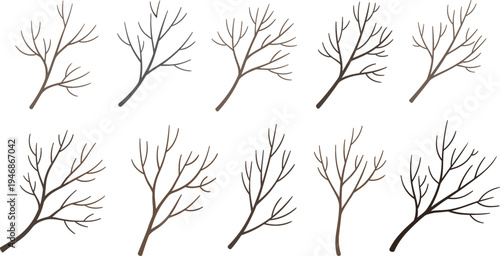 Bare Tree Branch Collection with Different Shapes of Dry Twigs and Leafless Branches Natural Botanical Elements Vector Illustration Set