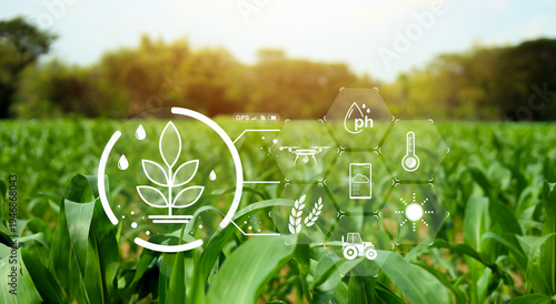 Konstfotografi Smart agriculture concept with digital farming technology over green corn field