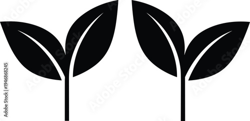 Black silhouette of two young plant sprouts with leaves growing on stems, isolated on white background, symbol of nature, ecology and growth.