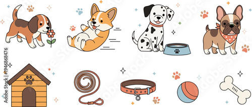 Vector Illustration Set of Cute Cartoon Dogs Including Beagle Corgi Dalmatian and French Bulldog with Pet Accessories Isolated on White