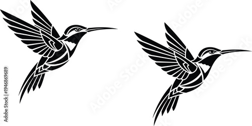 Black silhouette set of two hummingbird flying with wings spread, tribal style bird vector illustration isolated on white background, nature and wildlife.