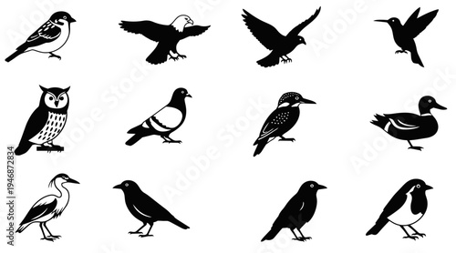 set of birds