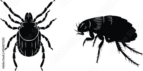 Black tick and flea insect silhouette icon set isolated on white background for pest control parasite prevention veterinary clinic and health awareness