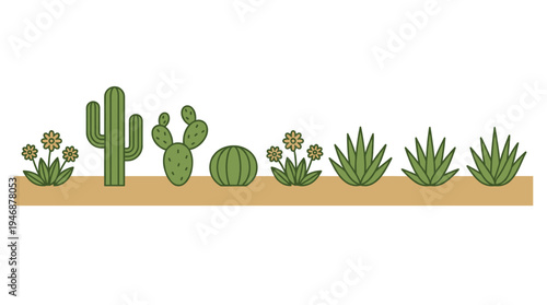 Charming vector illustration of minimalist green desert plants including various cacti, succulents, and flowering bushes on a brown ground strip. Ideal for web, kids' media, and decor.