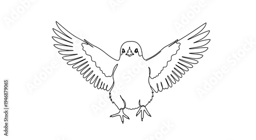 Cute Bird Line Art Flying with Open Wings, Simple Vector Illustration
