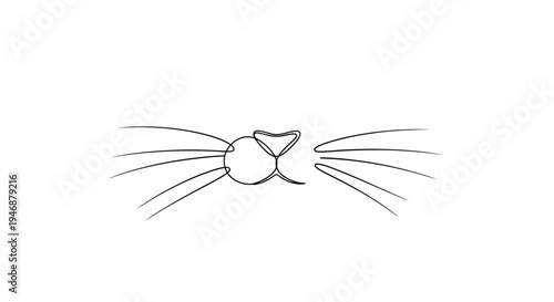 Minimalist cat nose and whiskers drawing, simple line art, adorable pet face icon