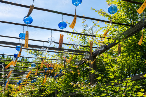 Wallpaper Mural 青色の風鈴 / Blue wind chimes Torontodigital.ca