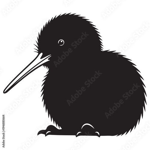 Distinctive Black Kiwi Bird Illustration with Long Beak on White Background